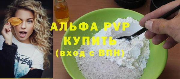 прущие грибы Пересвет