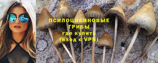 2c-b Алзамай